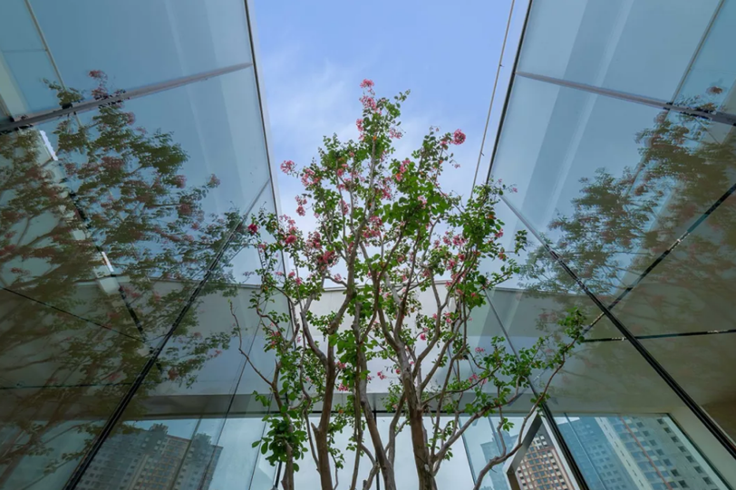 LETOU��(�й���)���޹�˾����